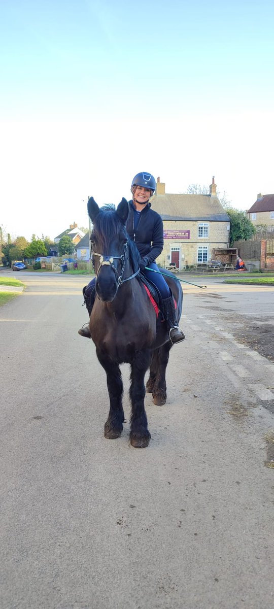 CatSummers tweet media