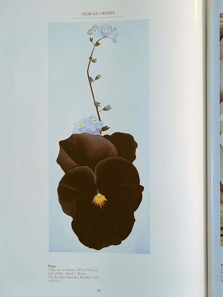 vandul's tweet image. 🎨 #ArtWalk #GeorgiaOKeefe #NewArt #AmericanArt #SKODA

Old Boston by Georgia o Keefe , shows one of her dominant styles.  She moved away from a feminine perspective,  for outside recognition.. greater than just her male collectors.