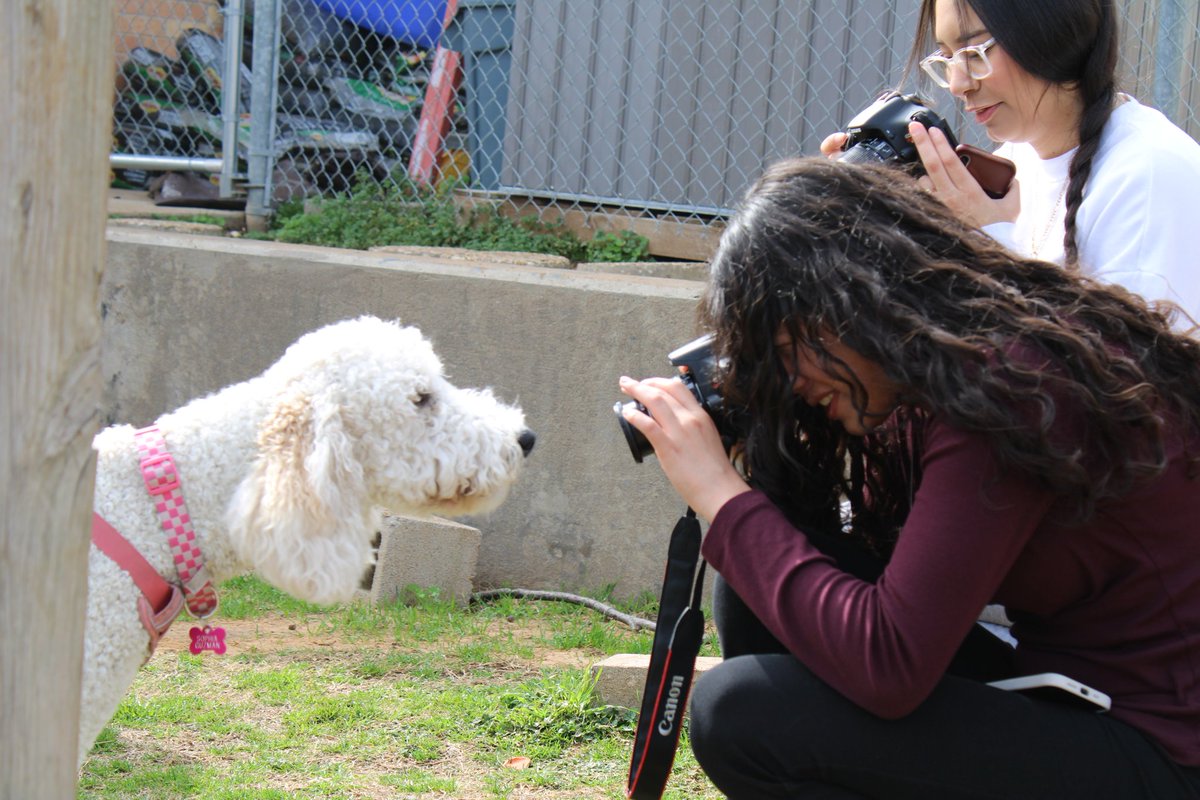 Nimitz Nation Design tweet media