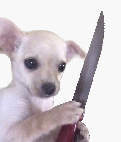 legend_calls's tweet image. Paying for dex here

Similar narratives went high today

This can run too

$knife

H79p48oAXX94j6bq5JjWdHrAgWcJ4yC8p6ioJPDVpump

pump.fun/coin/H79p48oAX…