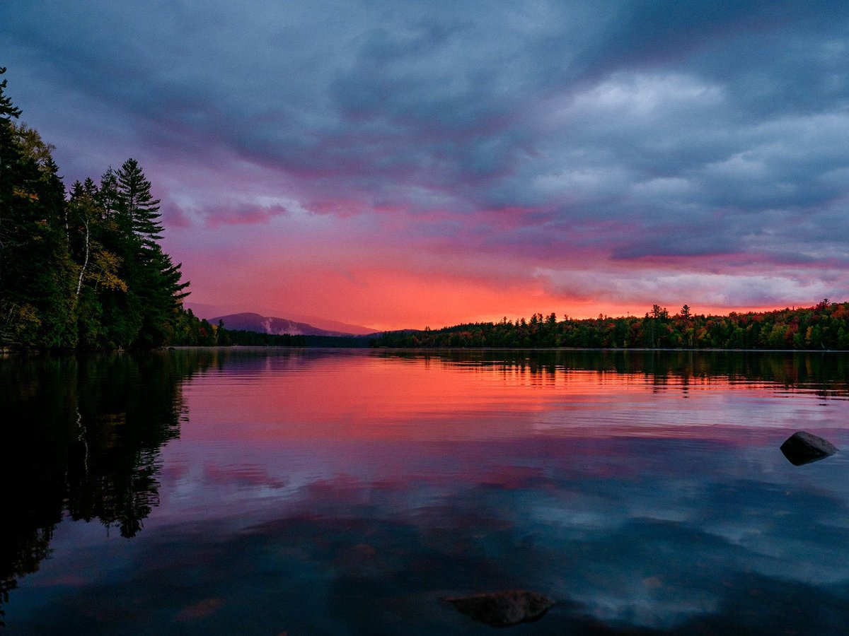 Nevin Johnson tweet media