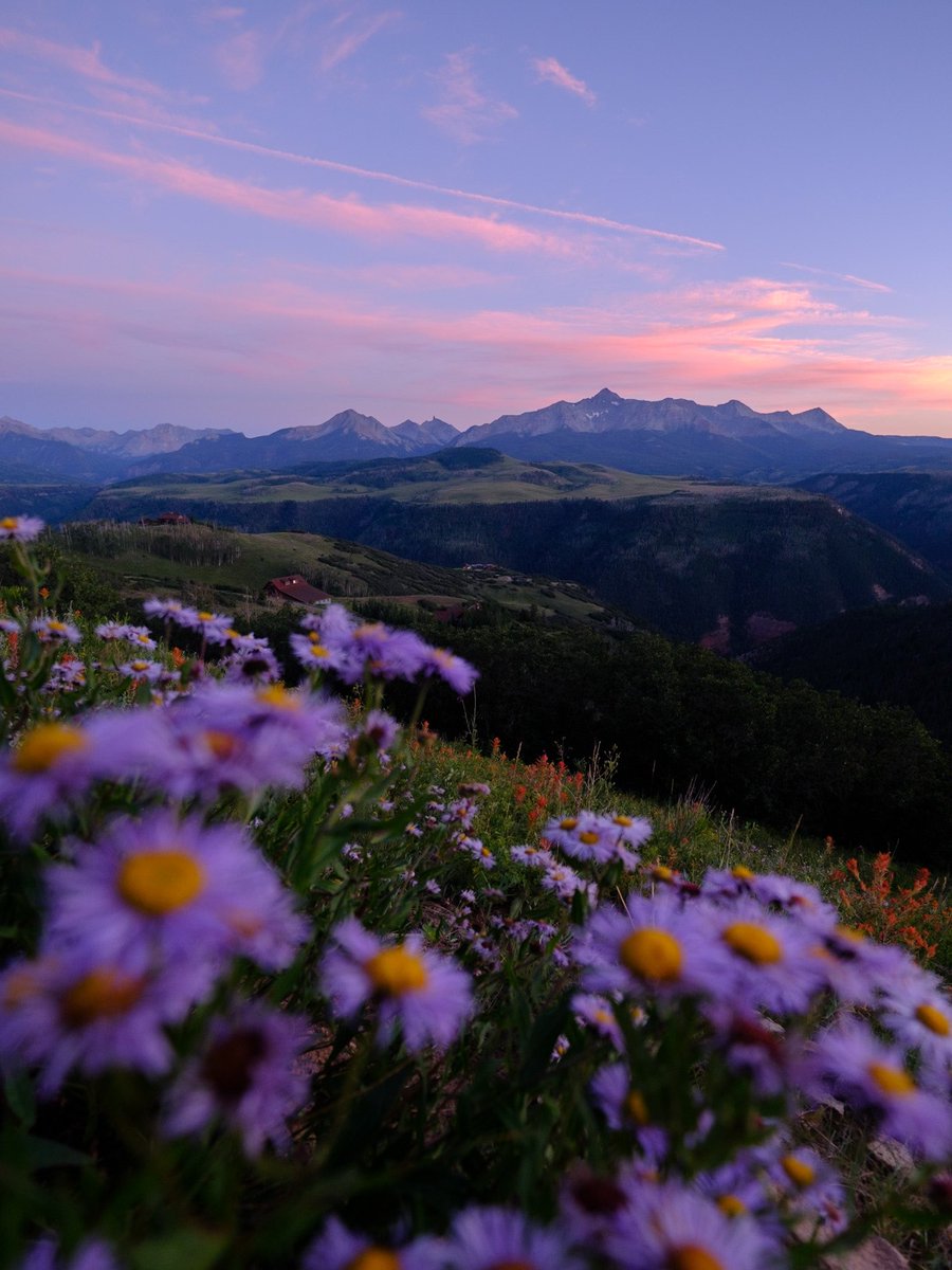 Nevin Johnson tweet media