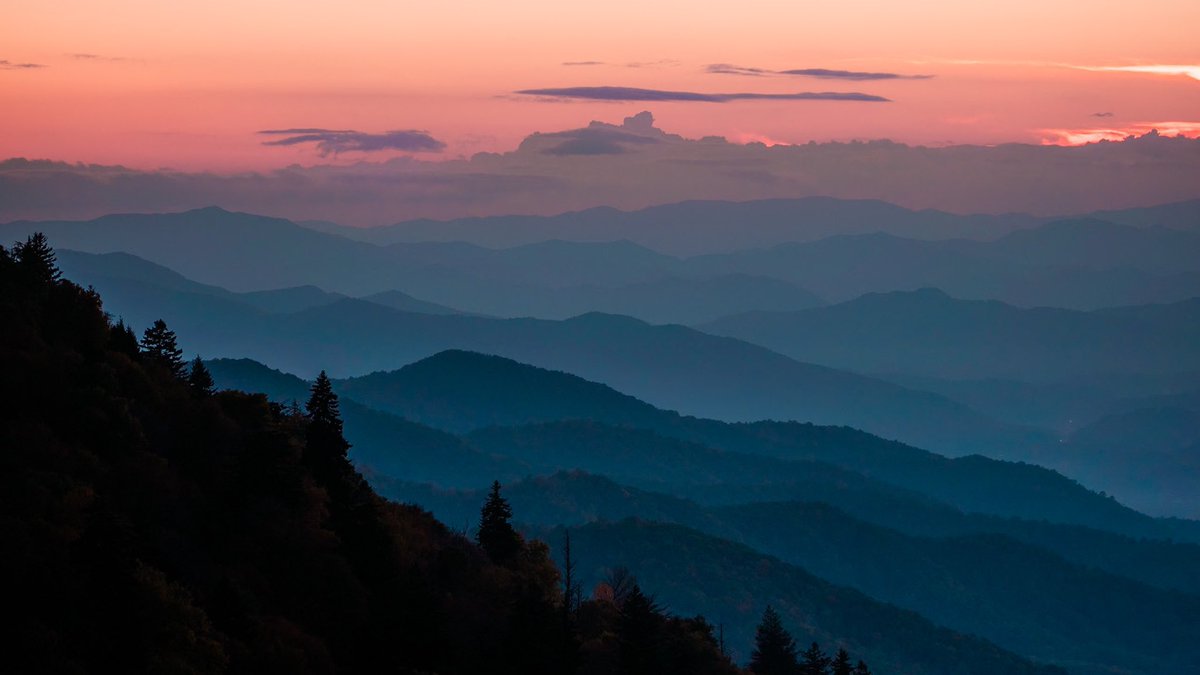 Nevin Johnson tweet media