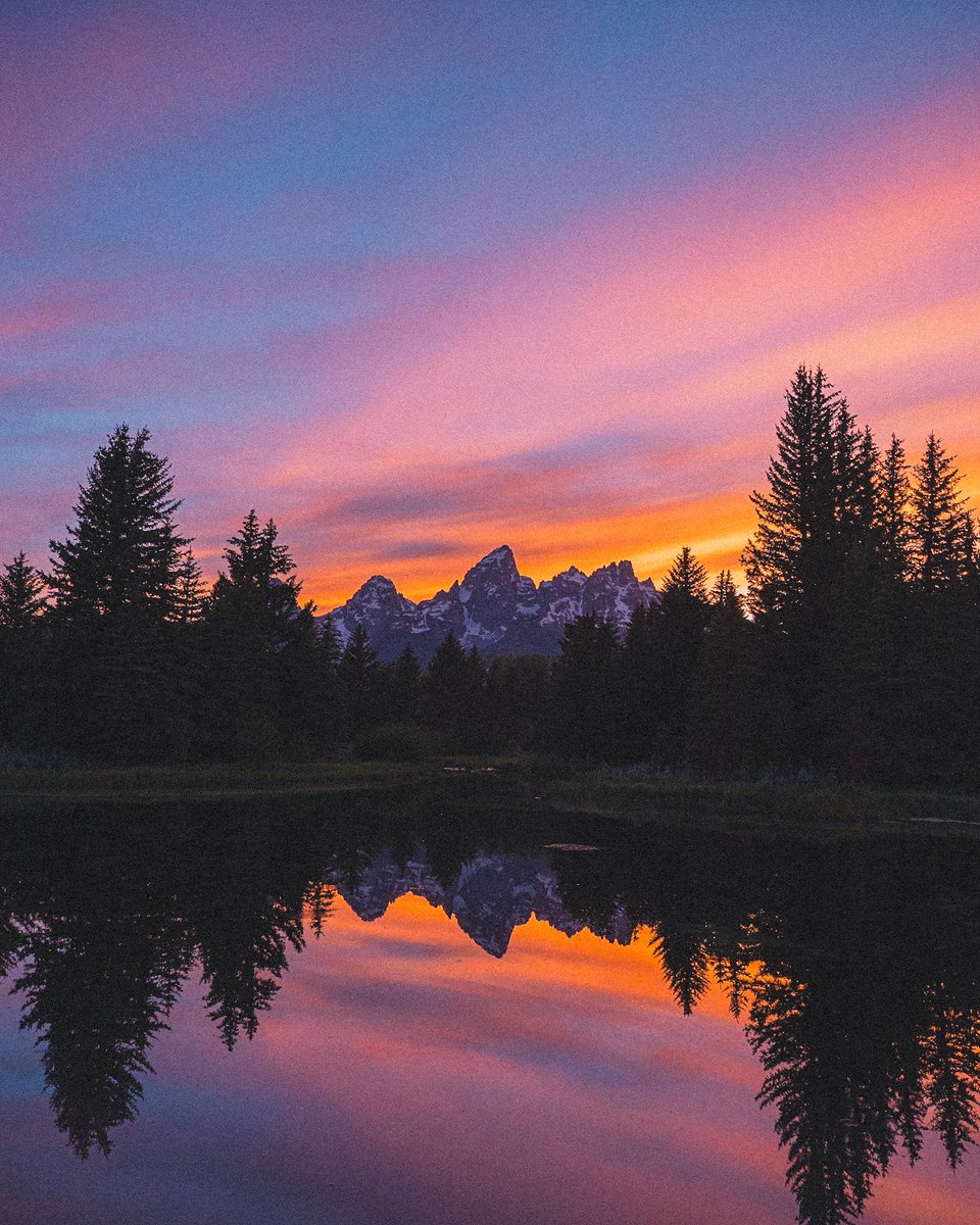 Nevin Johnson tweet media