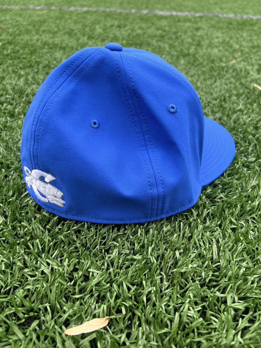 Special delivery ! Thanks <a href="/GillispieBill/">Bill Gillispie, CMAA, CIC</a>