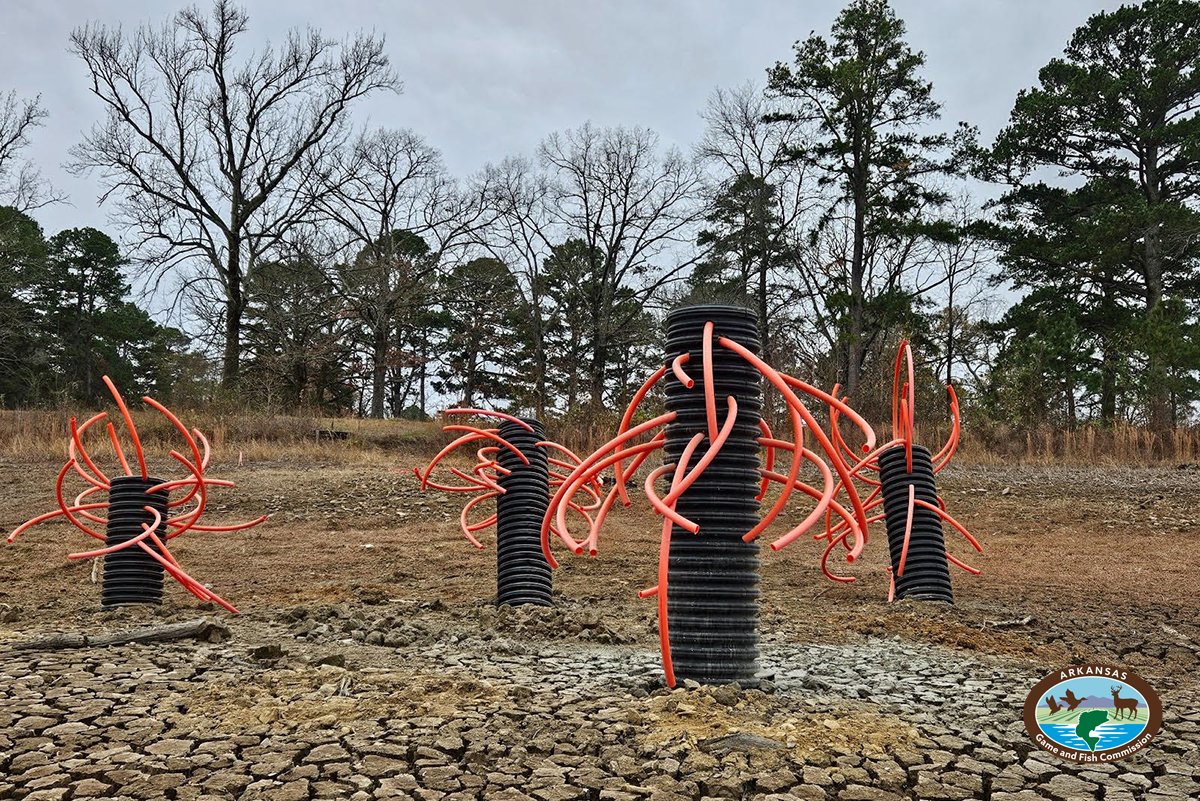 Lake Wilhelmina reconstruction rolling along
MENA — Recent rainfall may have slowed repair work at Lake Wilhelmina, but Arkansas Game and Fish Commission Regional Fisheries Supervisor Andy Yung is pleased with the progress the fisheries team ...bit.ly/3Q4uhgr