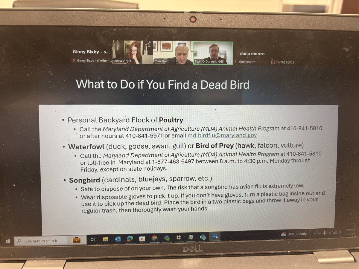 Really just incredible vibes on the Montgomery County Executive press briefing today