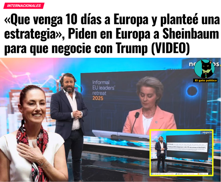 El gato político tweet media