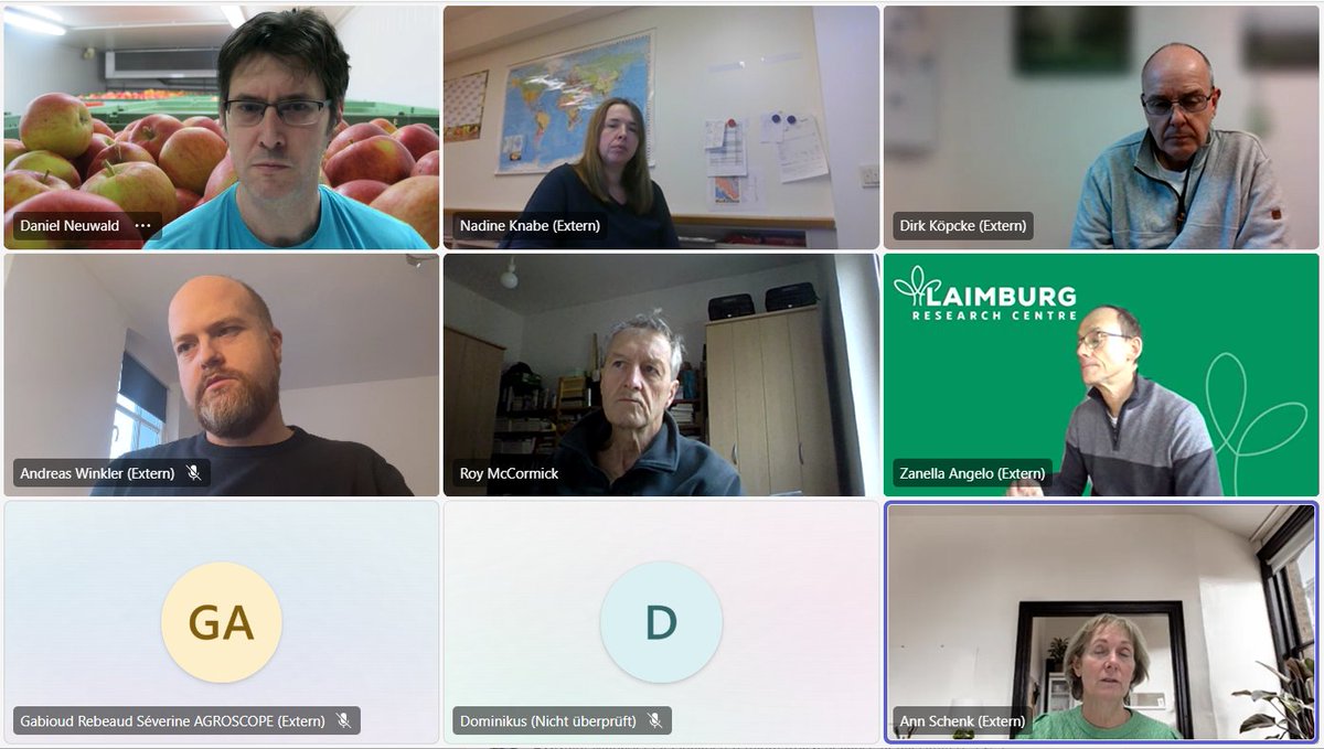 Nacherntephysi1's tweet photo. A key highlight was @Roy McCormick’s report on predicting core browning and fruit firmness in stored Braeburn apples. Thanks to all the experts who joined—looking forward to more exciting discussions! 🚀🍏 #Postharvest #FruitStorage #Collaboration https://t.co/0JVZKhs2gN