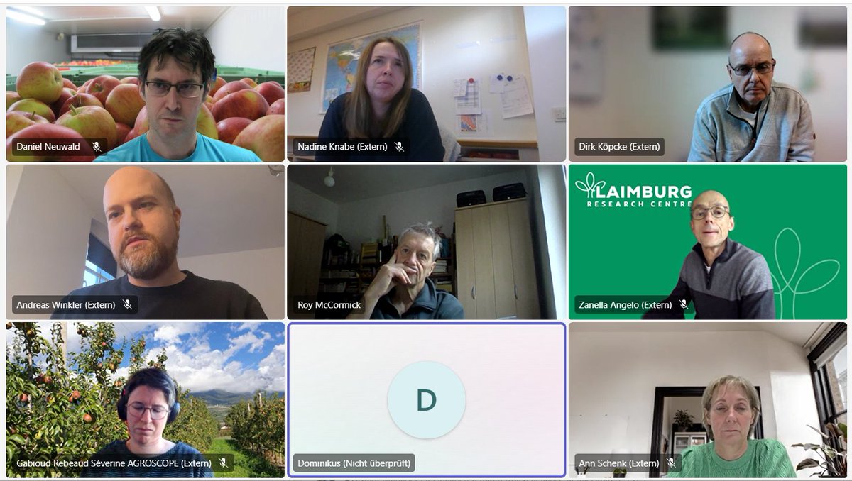 Nacherntephysi1's tweet photo. A key highlight was @Roy McCormick’s report on predicting core browning and fruit firmness in stored Braeburn apples. Thanks to all the experts who joined—looking forward to more exciting discussions! 🚀🍏 #Postharvest #FruitStorage #Collaboration https://t.co/0JVZKhs2gN