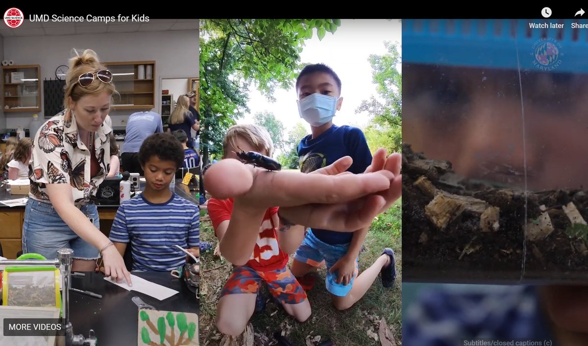 UMDEntomology's tweet photo. 🔬 🕷 No one❤️s arthropods more than #InsectTerps… except kids! That’s why we are excited to announce Bug Camp is back in 2025, welcoming a new swarm of insect investigators to @UofMaryland. 📅 Camp registration opens Monday, Feb 24th at 12 PM.  🐜 🔬https://t.co/ifjSZCmtgK https://t.co/uBg3J9Er4u