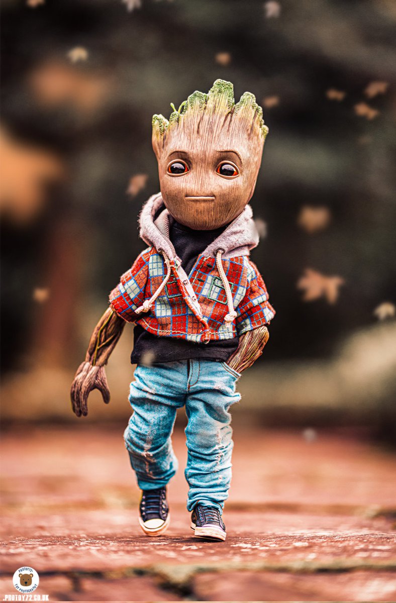 Photography is a way of feeling, of touching, of loving. What you have caught on film is captured forever... it remembers little things, long after you have forgotten everything. ~ Aaron Siskind

<a href="/hottoysofficial/">Hot Toys</a> <a href="/collectsideshow/">Sideshow Collectibles</a> #iamgroot #babygroot #toyphotography #Disney