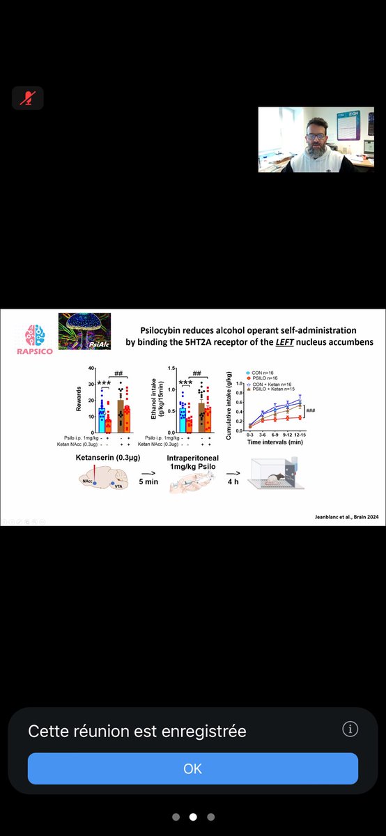 esbra_society's tweet photo. News from the latest ESBRA Webinar!

GRAP lab´s findings on psychedelics in AUD models. 
🍄psilocybin reduces alcohol consumption via 5HT2A receptors in the left nucleus accumbens. 
🚨LSD reduces alcohol seeking &amp; relapse
#ESBRA #Psychedelics #AUD https://t.co/TH31yN9PnF