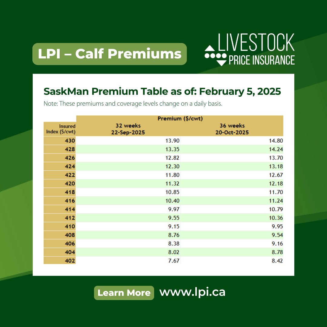 MASC_MB's tweet image. Have you seen the latest #LPI calf premiums? These are some impressive numbers! Check out today’s LPI-Calf premium table (dated February 5). Visit LPI.ca for more info or to purchase a policy. | #MBAg #MBBeef 

@MBBeefandForage @ManitobaBeef @MBForages