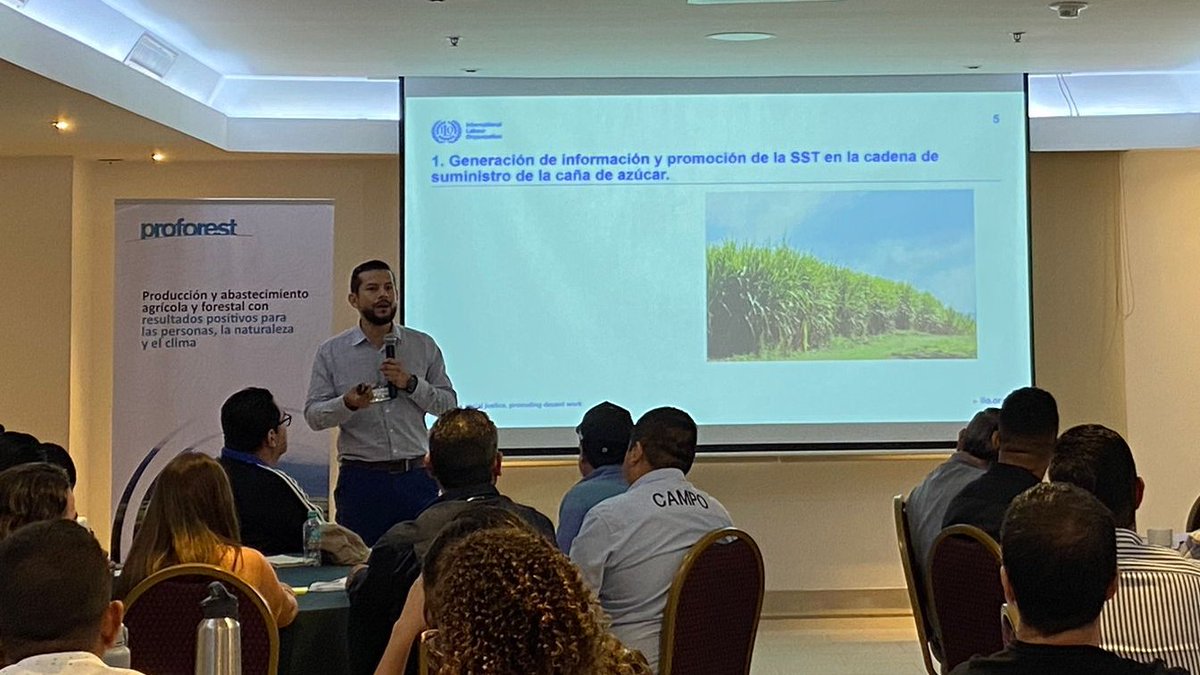 OITAndina's tweet photo. El #VisionZeroFund de #OIT presentó los resultados de 2 estudios sobre 1⃣incentivos y limitaciones para la seguridad y salud en el trabajo en la cadena azucarera en 🇨🇴 y 2⃣la SST en la producción de panela
Con @Bonsucro y representantes de la caña de toda la región 🇲🇽🇸🇻🇩🇴🇬🇹🇭🇳🇨🇴 https://t.co/nkF7ECMyOo