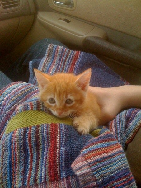 Chad Moran tweet media