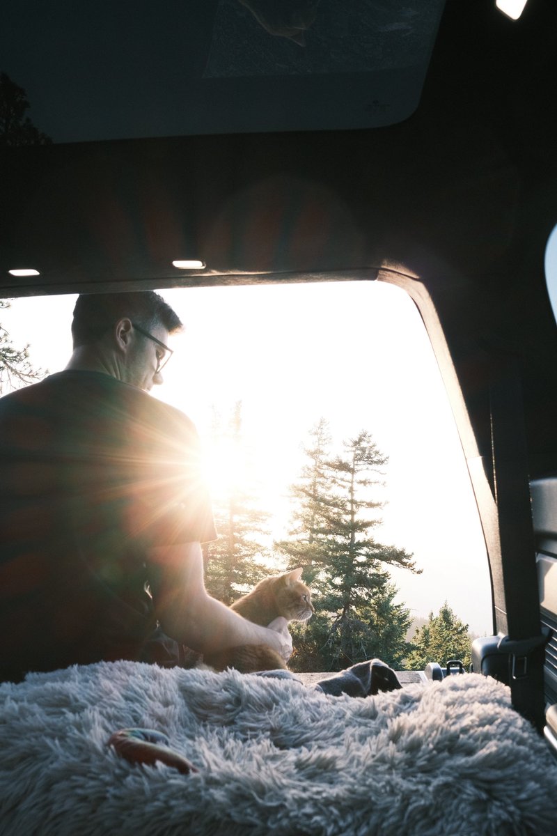 Chad Moran tweet media