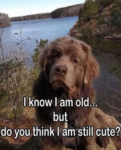 I know I am old... but do you think I am still cute?