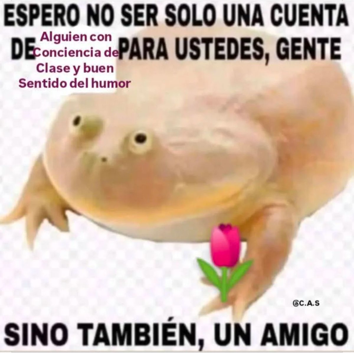 Humildemente, camaradas ♥️