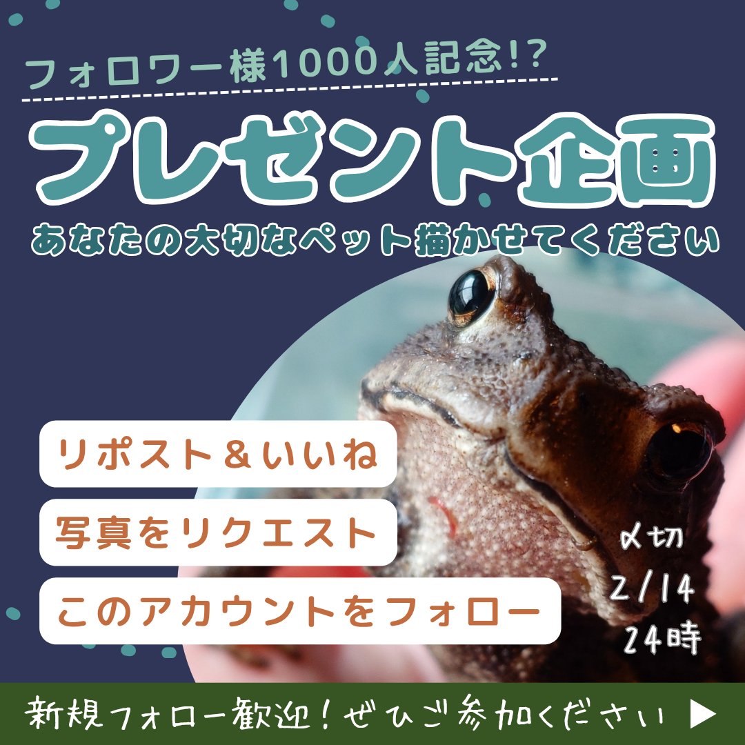 lunapy0ko's tweet photo. 🎁初！プレゼント企画🎁
あなたのペット描かせてください🐸抽選で２名様へ

🍀参加方法
・@lunapy0koをフォロー
・投稿をリポスト＆いいね👍
・リクエストのペットのお写真をリプ欄へ
🍀応募条件
・DMで住所を教えていただける方
・日本在住の方
🍀応募締切
・２／１４　２４時

・翌日発表＆DMします https://t.co/zOwamaj6F7