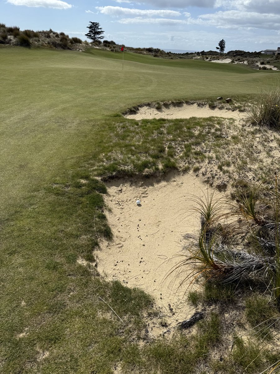 golf course enthusiast tweet media