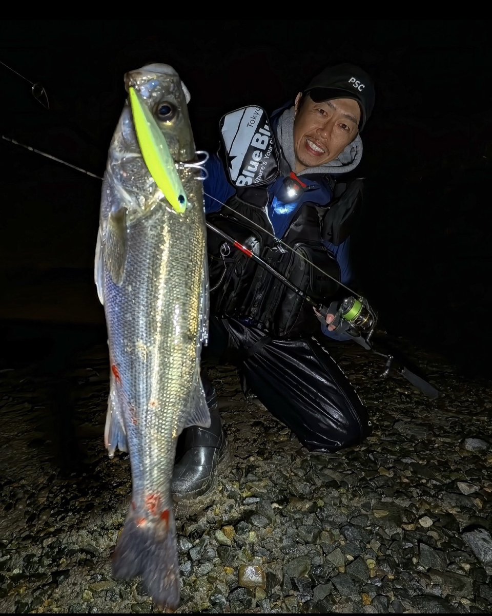 sei_uchida_fish's tweet photo. 週末はおかっぱりでバチパターン数箇所巡るも不発に終わってしまい、河川へ移動してウェーディング。生命感がないので沖の橋脚までBANQ82Sフルキャストでなんとか届かせると、橋脚にベッタリの魚が反応してくれました。
#PR #popseacrew #PSC #BANQ82SHEAVY#APIA #ZALTS #LINESYSTEM #XENOS https://t.co/zgPrvrLBeB