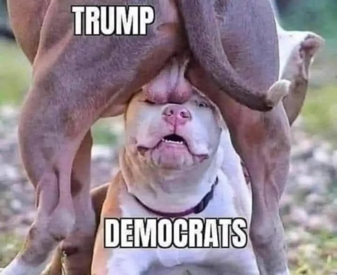 baddbart's tweet image. 