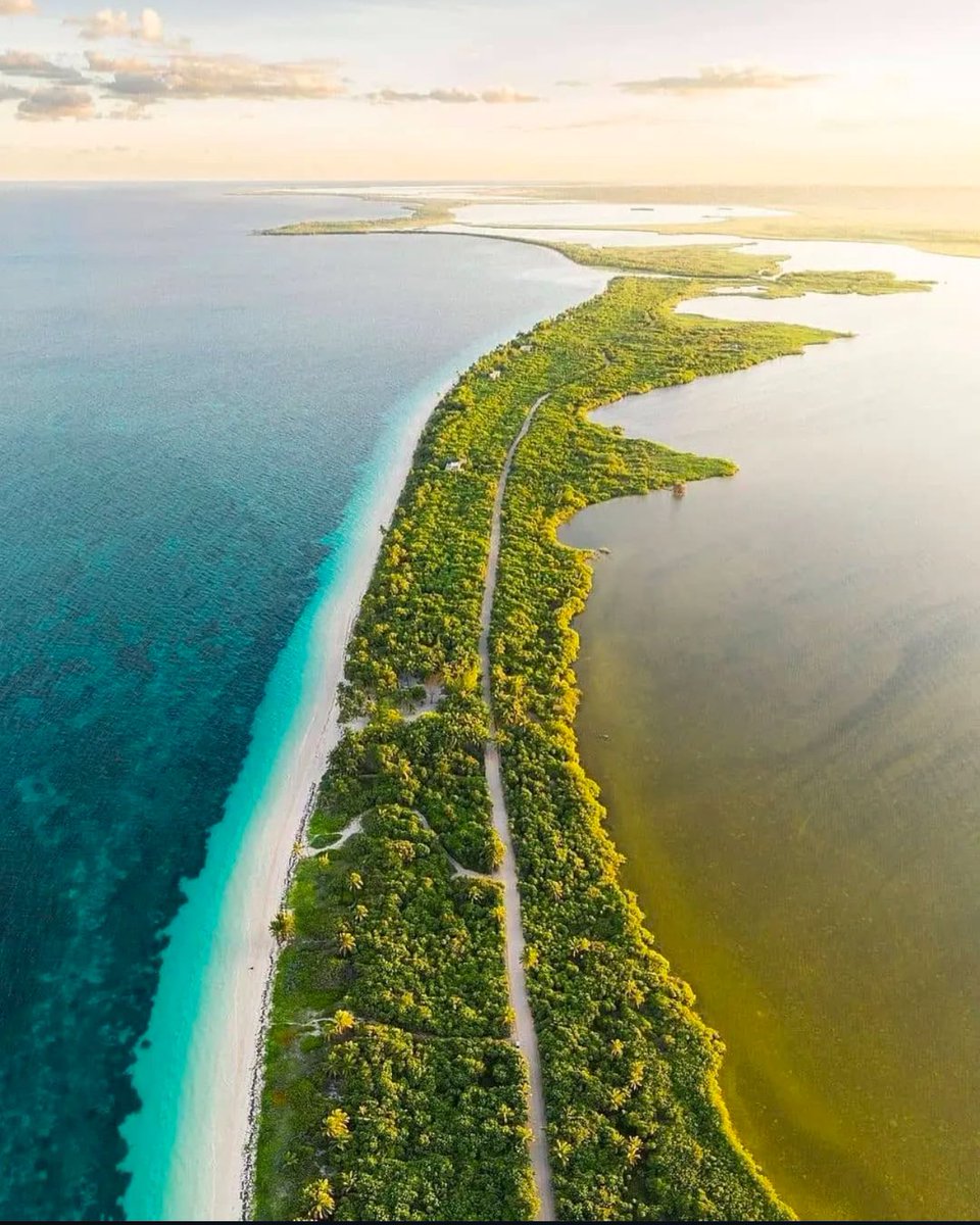 🌺🌊 Sian Ka’an: Donde la naturaleza habla 🌊🌺 300 especies de aves, delfines, cocodrilos y más te esperan en este paraíso protegido. 🐬🦜 ¡Atrévete a escuchar su historia! 🌴✨  <a href="/robpalazuelos/">Roberto Palazuelos</a> 
🌳 #SianKaan