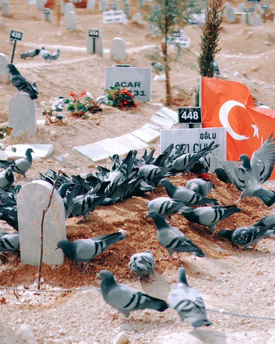 muhendisyenn's tweet photo. Kahramanmaraş depremlerini unutmayın, unutturmayın..

#6subat2023 https://t.co/wCikO3KagP