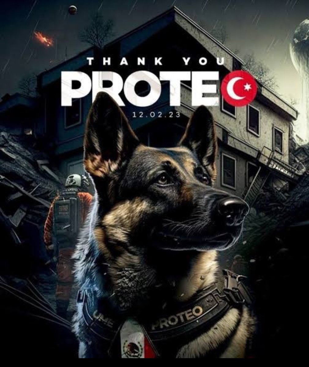 ahtysr55's tweet image. #prote seni de unutmadık ..