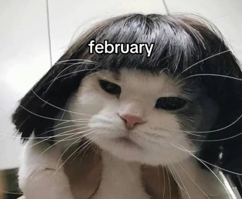 Pure_Intel's tweet photo. I’m not ignoring you. I’m just avoiding doing anything I don’t feel like doing. 

#IntrovertMode #CatsofTwittter #CatsOfX #relateable #february https://t.co/lk7ei67V1C