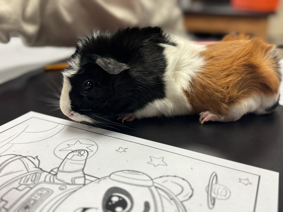 Cristina Ford tweet media