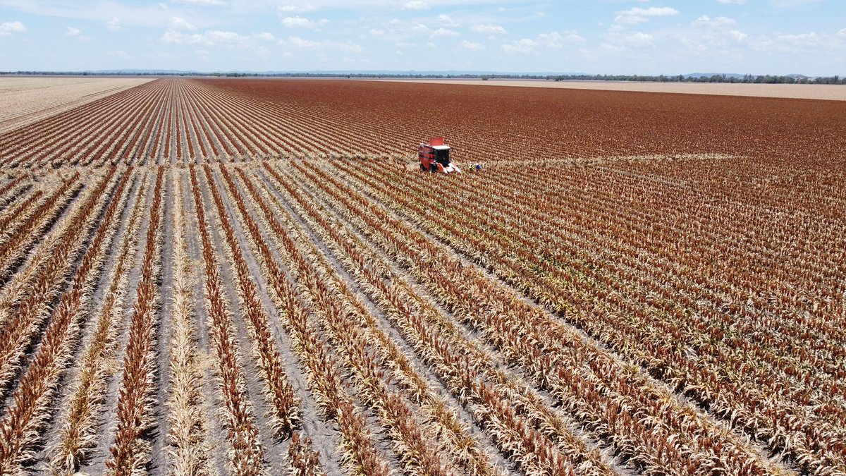 Ben Vercoe tweet media