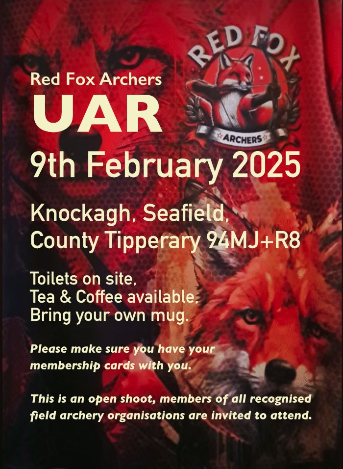 IFAF Ireland tweet media