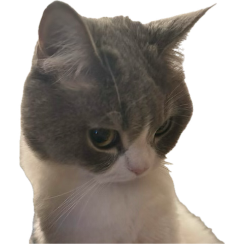 ‏﮼زهرا tweet media