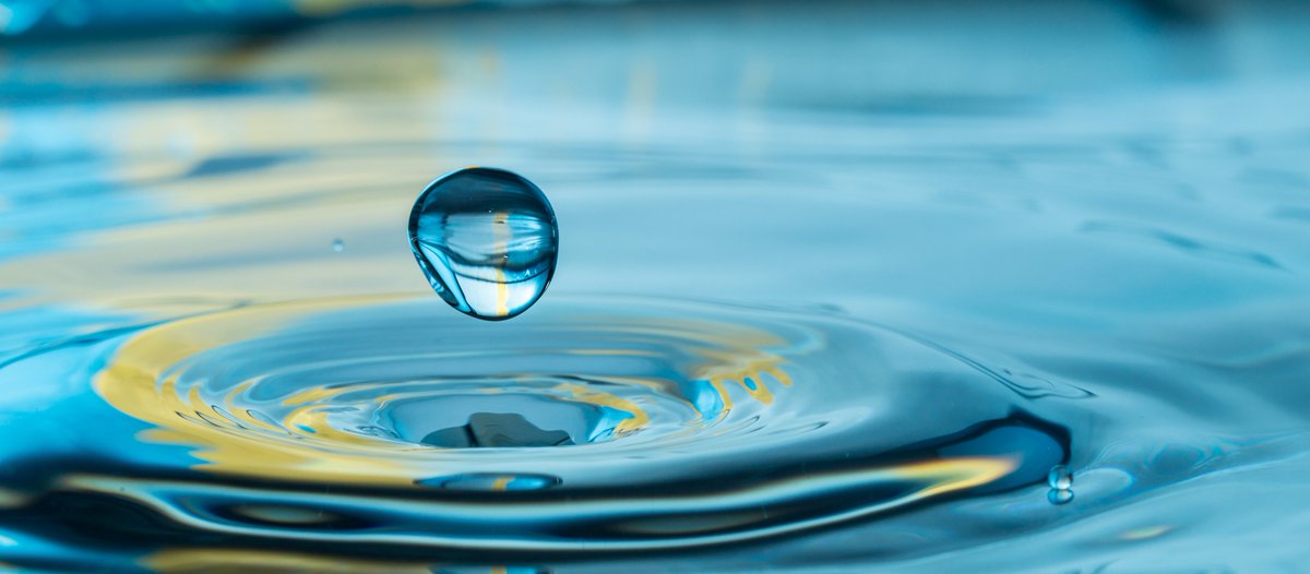 Mosquitoes survive getting hit by raindrops 50 times their own weight without even breaking a wing. How?
Instead of resisting impact, mosquitoes literally go with the flow. Watch and learn more: youtube.com/watch?v=MJR6wn…

#DidYouKnow #PublicHealth #MosquitoControl #VectorControl