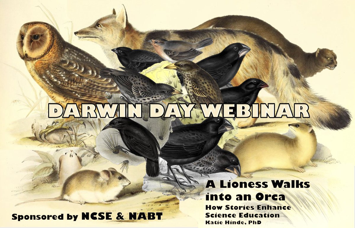 Prof. Katie Hinde (@mammals_suck) on Twitter photo A Darwin Day EXTRAVAGANZA Webinar co-sponsored by <a href="/NCSE/">National Center for Science Education</a> Nat'l Center for Science Education & <a href="/NABT_News/">NABT</a> the Nat'l Association of Biology Teachers 2/12 7PM Eastern! LIVE #2025MMM Division Announcement! Free & open to the public- register here:
nabt.wufoo.com/forms/2025-dar… A Darwin Day EXTRAVAGANZA Webinar co-sponsored by <a href="/NCSE/">National Center for Science Education</a> Nat'l Center for Science Education & <a href="/NABT_News/">NABT</a> the Nat'l Association of Biology Teachers 2/12 7PM Eastern! LIVE #2025MMM Division Announcement! Free & open to the public- register here:
nabt.wufoo.com/forms/2025-dar…