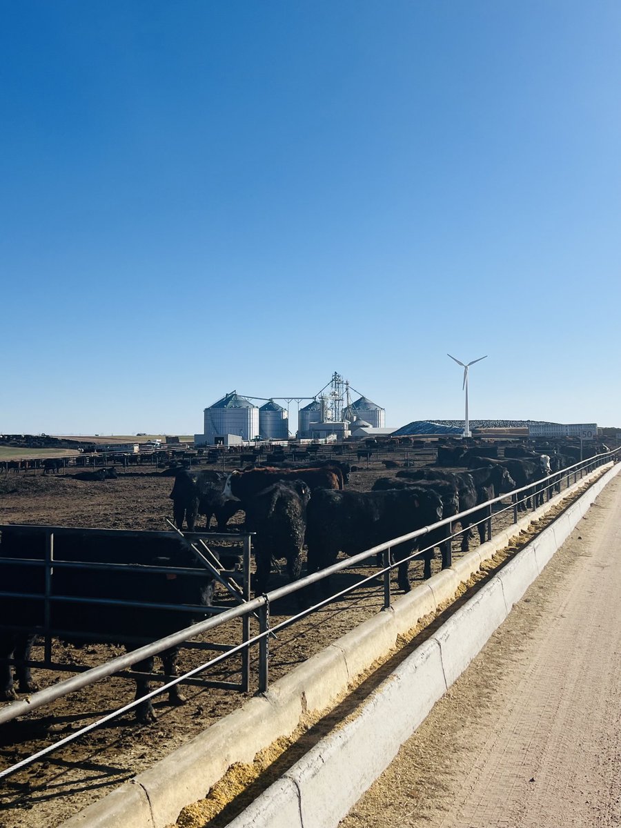 Erick Farmer tweet media