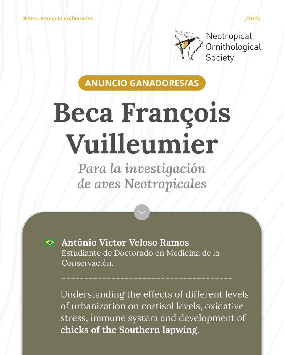 Ornitología Neotropical tweet media
