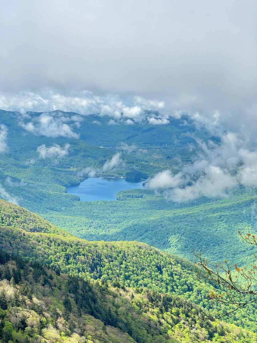 cajakacio's tweet image. North Carolina in spring is like a forest in a fairy tale, where surprises can only be discovered when the fog clears.#NorthCarolina #SpringVibes #FairyTaleForest #NatureBeauty #FoggyMorning #HiddenGems #SpringAwakening #NatureLovers #MagicalPlaces #ExploreTheOutdoors