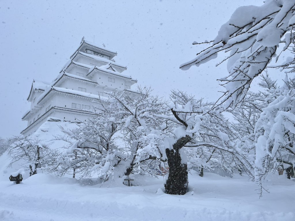 tsurugajo1965's tweet photo. おはようございます
本日(2/6)の鶴ヶ城です。

今日もすごい雪です！
そしてまだ降り続いています☃️

#鶴ヶ城 #イマソラ #ふくいま #空ネット #福の空 #シェア天 #ゴジてれ天気 https://t.co/rjreszWQop