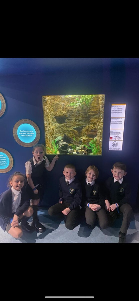 WestvalePrimary's tweet photo. Year 3 had a superb day @NML_Muse learning about the Egyptian mummies. #learningoutsideoftheclassroom https://t.co/XgDk1AURqV