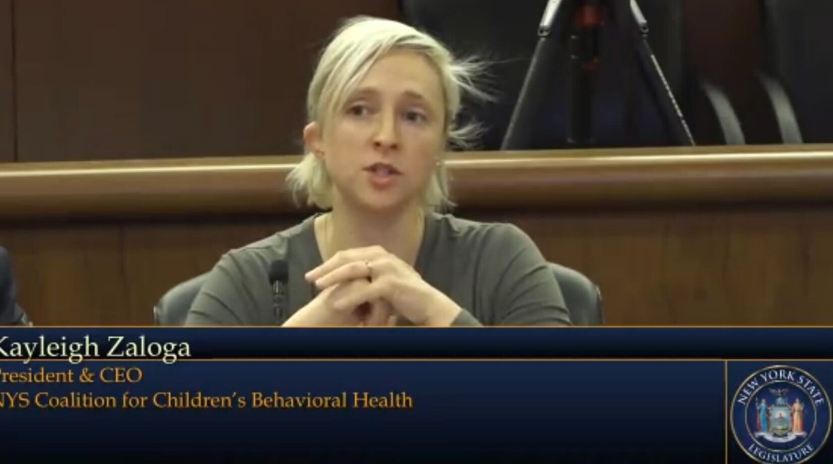 SenatorBrouk's tweet photo. "Every mentally ill adult was a sick child who did not get the help they needed.” –Kayleigh Zaloga @ccbhny. That’s why @ftnys budget hearing testimony data reminded us of the waitlists for children in NYS who are not able to access the outpatient services they need. (data 👇🏿) https://t.co/WNrSOqrWT3