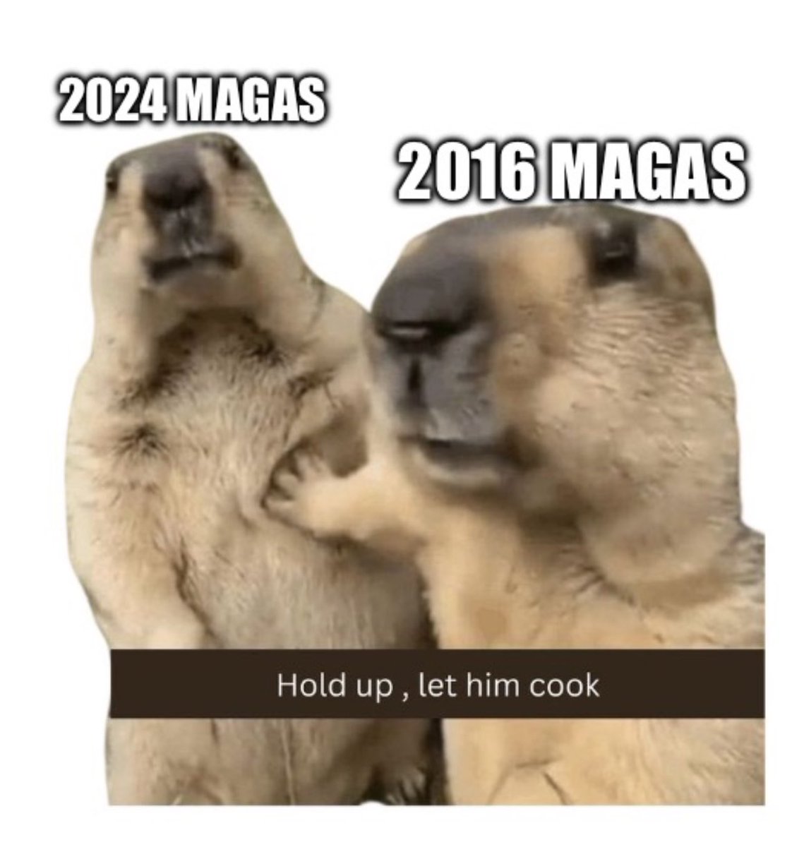 tankopher's tweet photo. Chill. It’s always tough the first time around #DonaldTrump #elonmusk #doge #maga https://t.co/sQB5QTyH3U