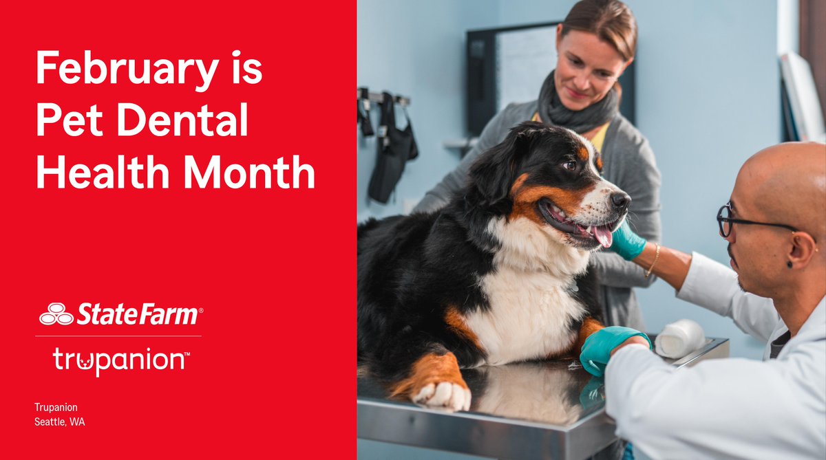 MartinWoodruff3's tweet photo. Pet Dental Month is an awareness effort we share with our friends at Trupanion, and is a key topic in the veterinary industry. Consider this guide to help take care of your dog or cat’s dental health.

https://t.co/0ED2eGGwJU https://t.co/cJCkS90BIg