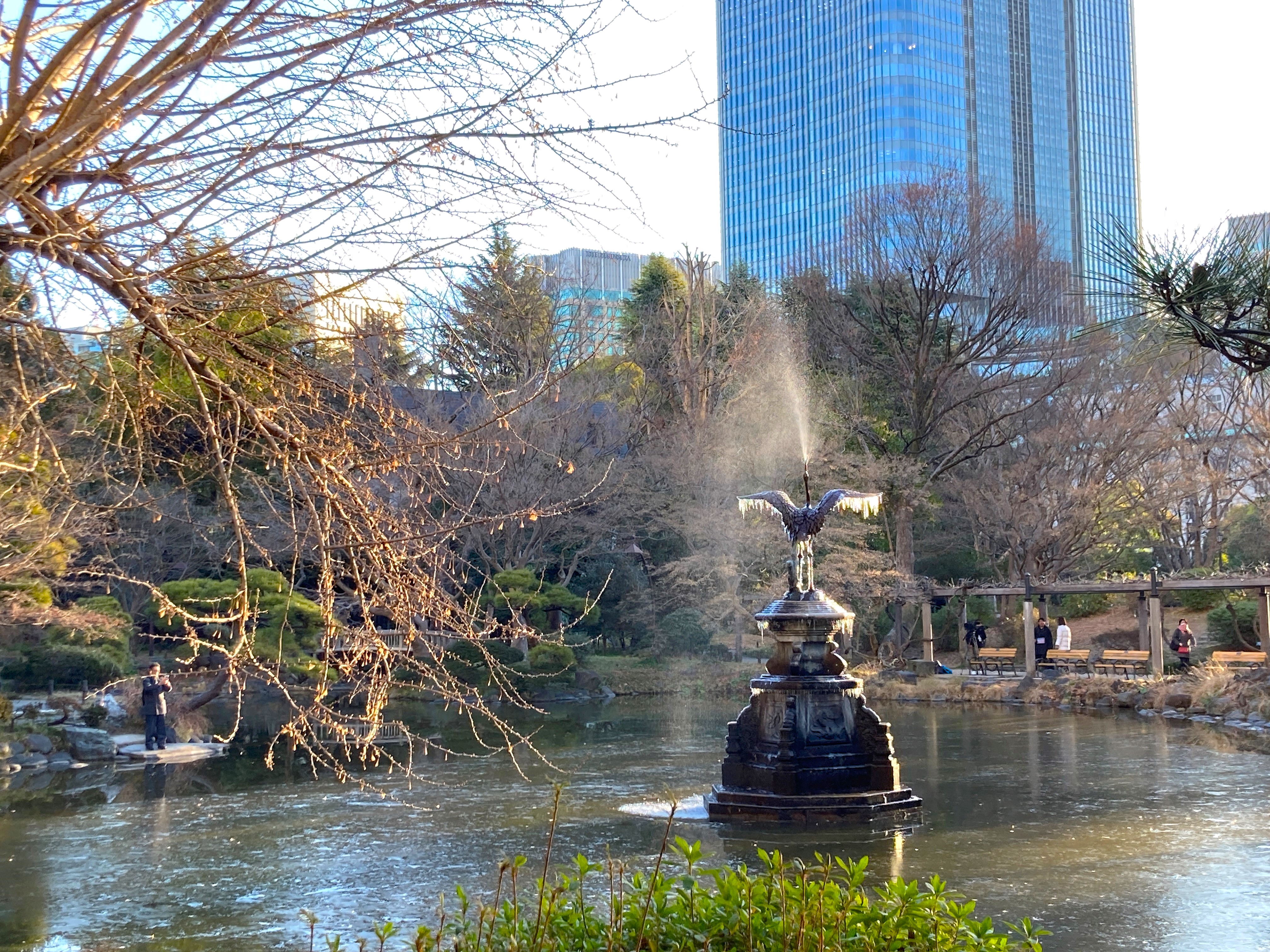 都立日比谷公園(Hibiya Park, Tokyo) 園長の採れたて情報 on X 都立日比谷公園(Hibiya Park, Tokyo) 園長の採れたて情報 on X
