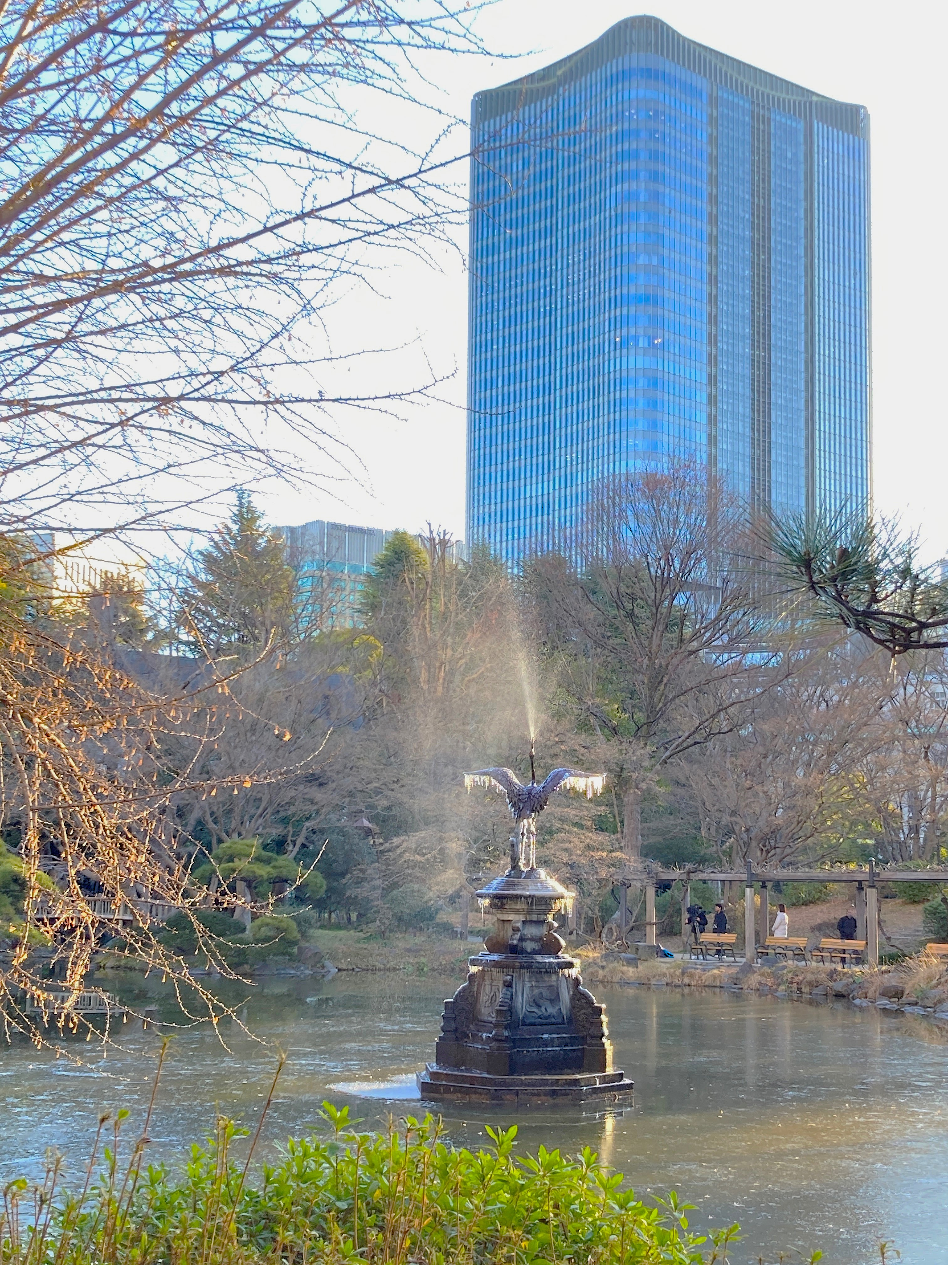 都立日比谷公園(Hibiya Park, Tokyo) 園長の採れたて情報 on X 都立日比谷公園(Hibiya Park, Tokyo) 園長の採れたて情報 on X
