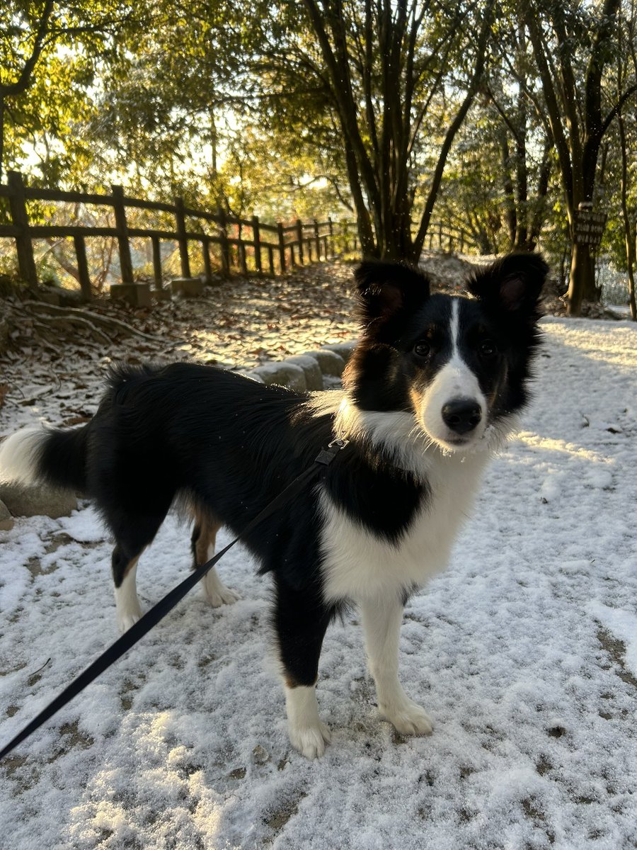 雪で遊んでばっかで今日は前に進まない