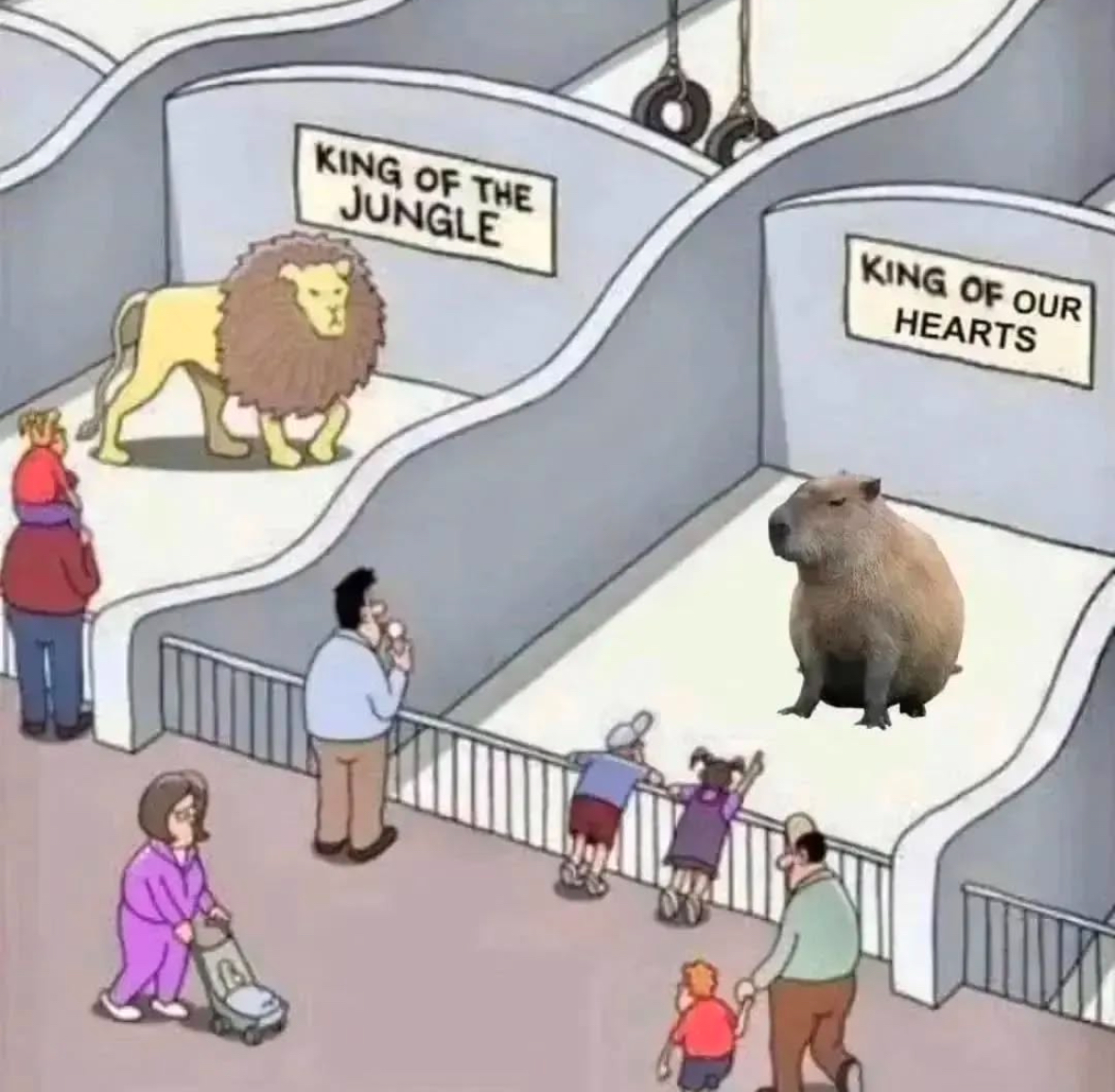 *FAIR COMMUNITY RELAUNCH*  ₍ᐢ•(ܫ)•ᐢ₎

<a href="/bigdotfun/">Big Fun</a> just sponsored us to buy 50% of new bonding curve to airdrop to previous holders. 

Let's take capy2.0 to the moon and make A HAPPY CAPY -- app.big.fun/token/e939085b…