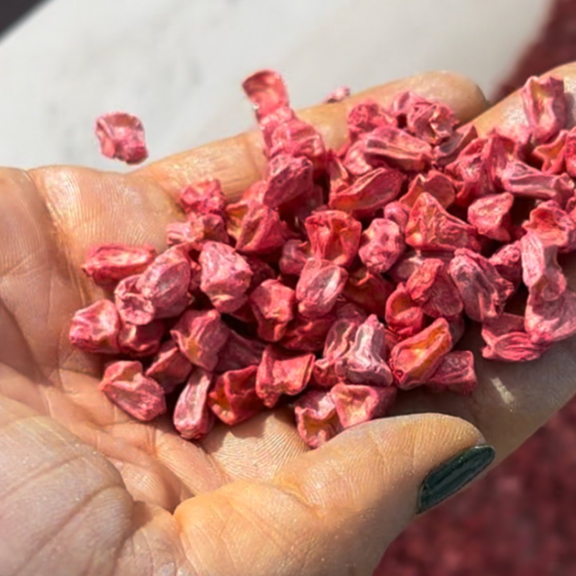 Next-Level Seed Treatment with NutriCharge® PowerPlant! 

Why choose PowerPlant for your seed starter?

Boost your planting potential with innovative, sustainable solutions. 

#NutriCharge #PowerPlant #SeedStarter #BetterRoots #SustainableFarming #AgroTechUSA